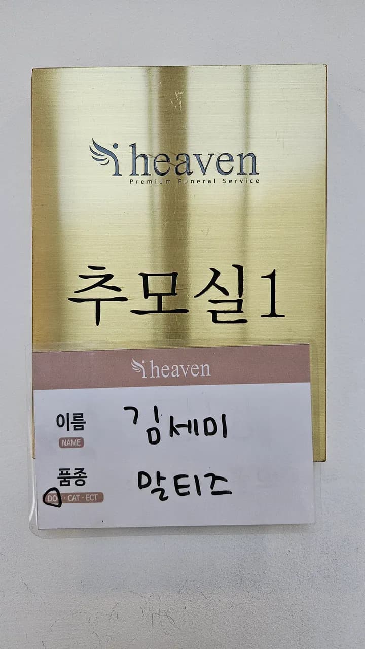 김세미 보호자님의 후기 사진