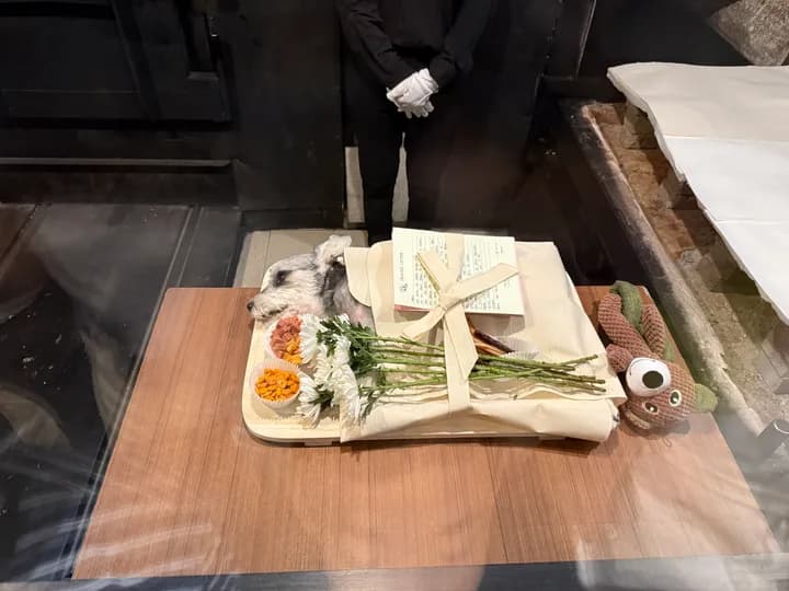 마루 보호자님의 후기 사진
