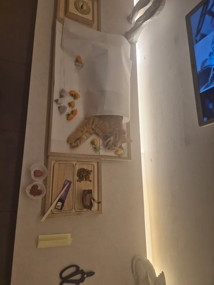 별이 보호자님의 후기 사진