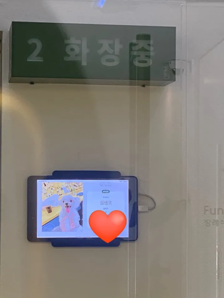 샌코 보호자님의 후기 사진