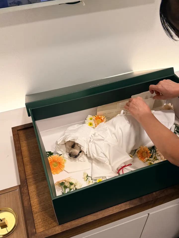 레오 보호자님의 후기 사진
