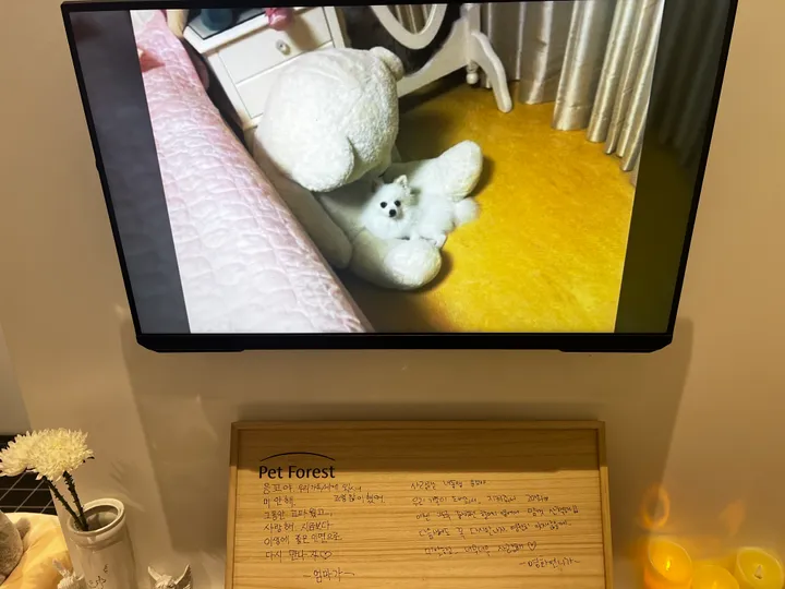 응꼬 보호자님의 후기 사진