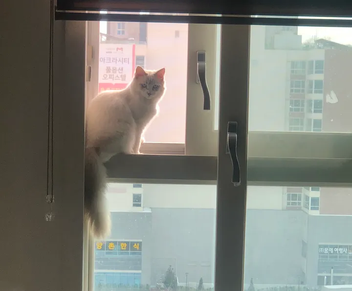 아뚜 보호자님의 후기 사진